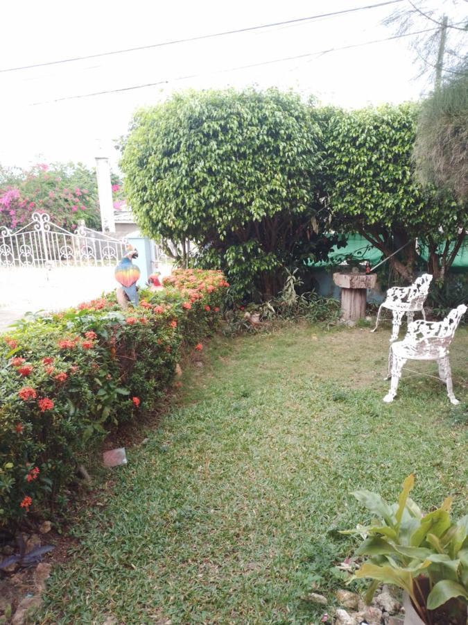 Tina'S Guest House Ocho Rios Luaran gambar